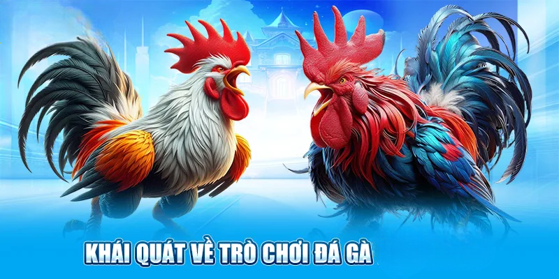 Đá Gà V8CLB – Địa Điểm Giải Trí Trực Tuyến Hàng Đầu Hiện Nay